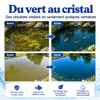 Billhol® 🌸Aqua-Sentra Pro Formula – Fini les cauchemars d’algues, restaurez rapidement la beauté de votre bassin !🌸