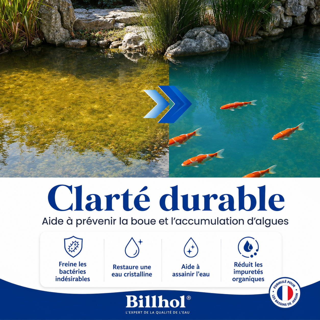 Billhol® 🌸Aqua-Sentra Pro Formula – Fini les cauchemars d’algues, restaurez rapidement la beauté de votre bassin !🌸