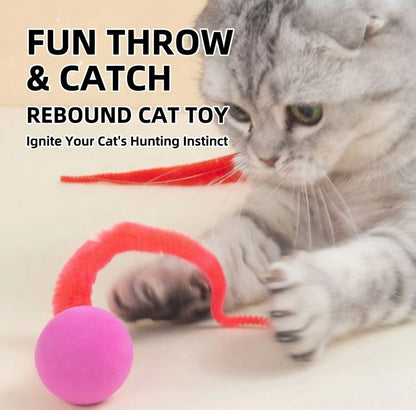 Creawes® 🐱 Flauschige, wackelige Hüpfbälle – Das ultimative interaktive Katzenspielzeug 🕊️